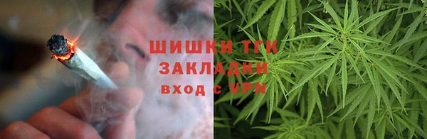 ПСИЛОЦИБИНОВЫЕ ГРИБЫ Балабаново