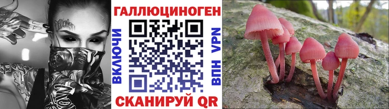 Галлюциногенные грибы мицелий Купить где Любань